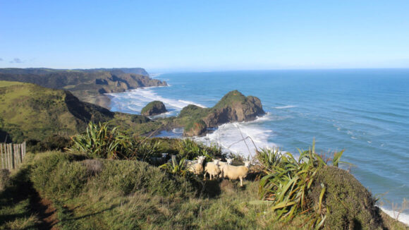 Backpacking East Coast Australia The ULTIMATE East Coast Australia