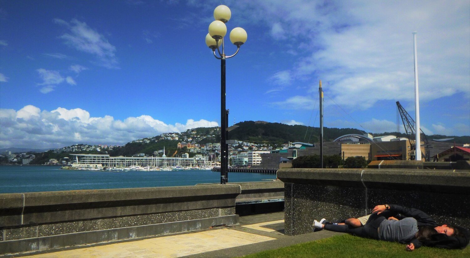 View of the harbour from Wellington's waterfront