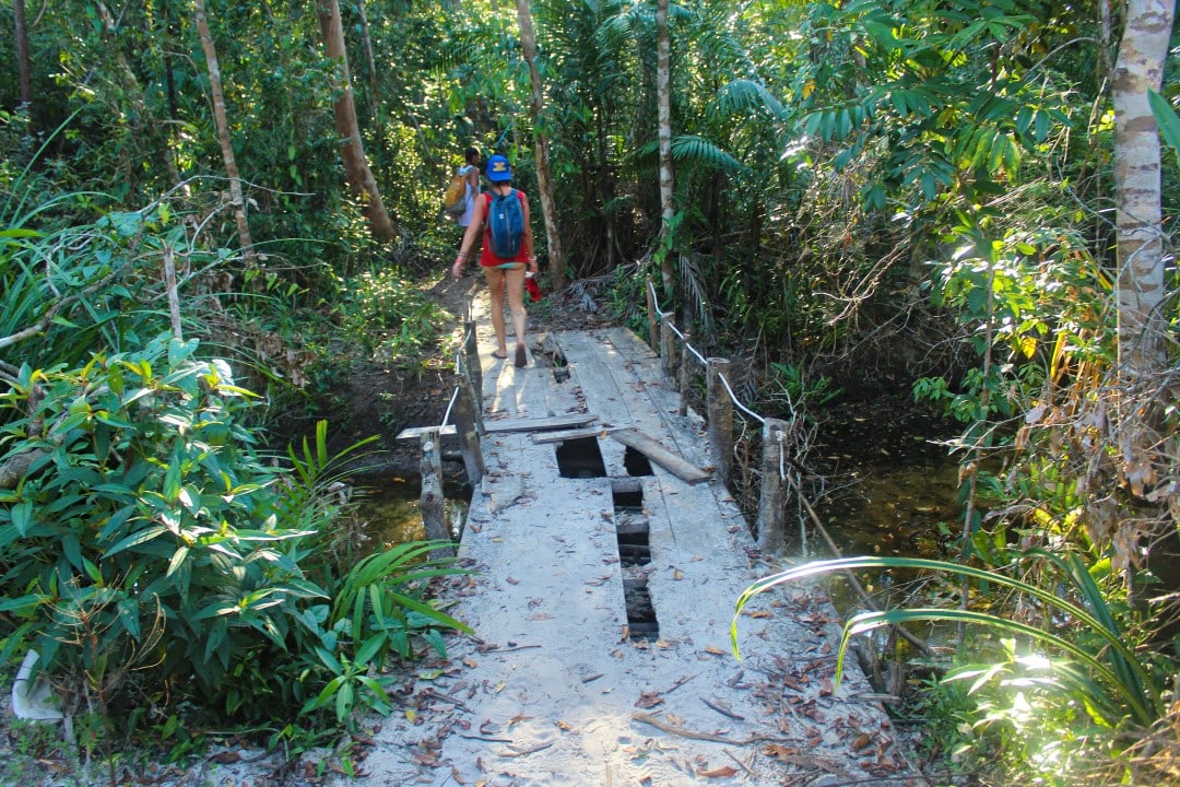 Hiking in the jungle on the Cambodian island Koh Rong Samloem