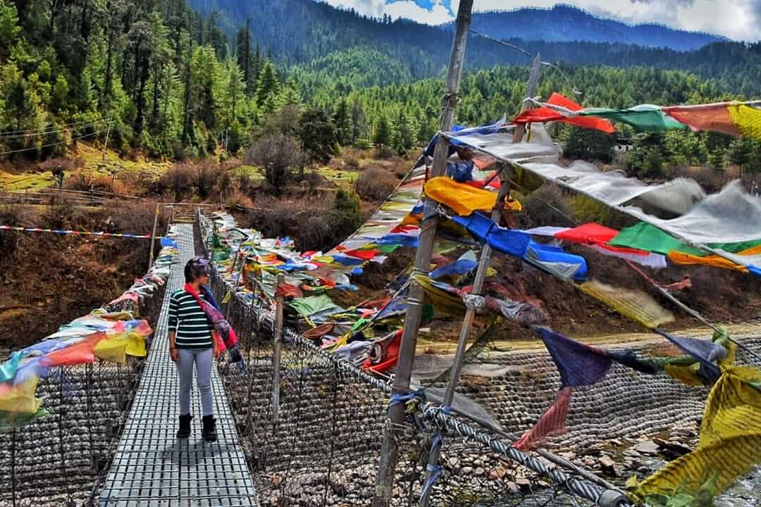 bridge in bhutan