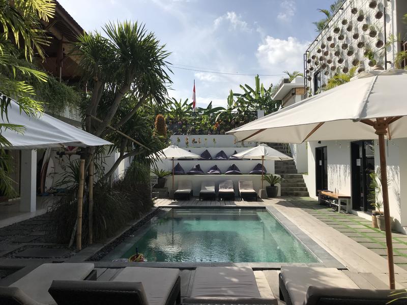 5 Best Hostels In Bali 2023 Insider Guide