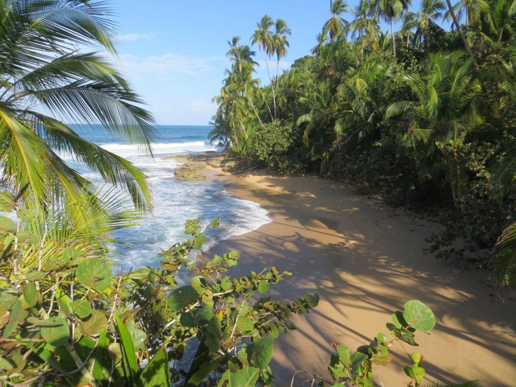A small empty beach surrounded by jungle and palm trees Barbados Caribbean Sea