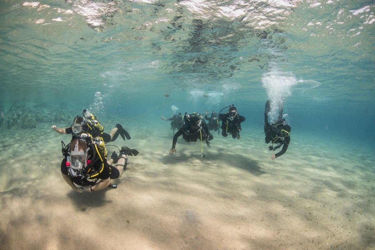 Diving in the Red Sea, Aquaba, Jordan