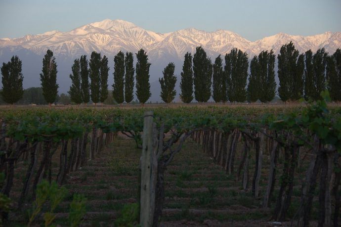 Mendoza Vineyards And Mountains Tony Bailey Flickr 690x459 