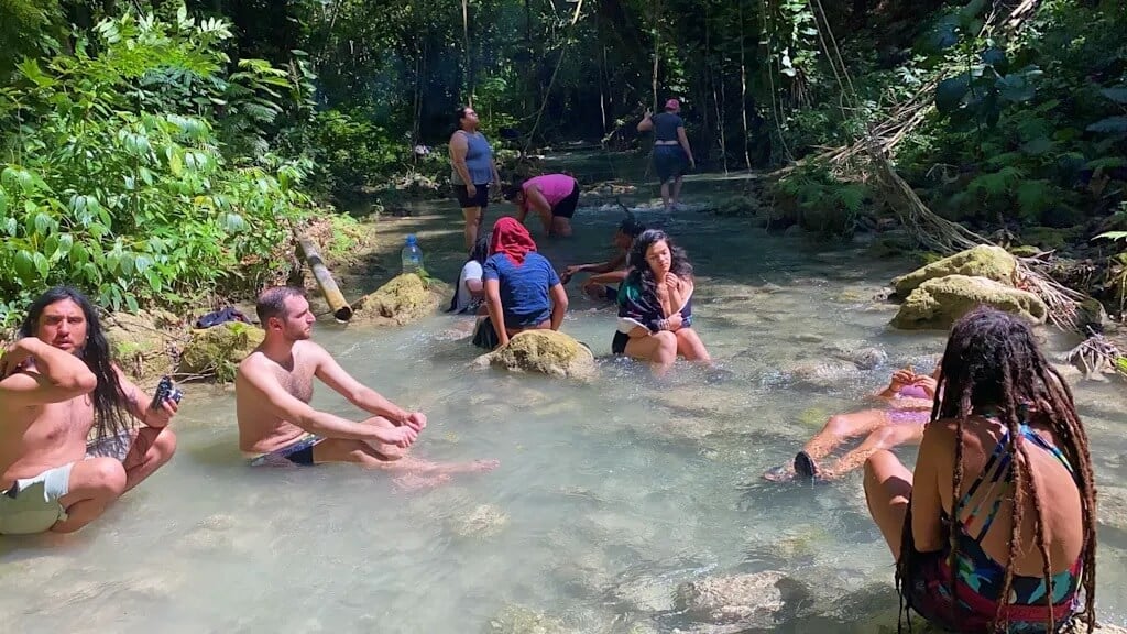 Earth Family Farms Jamaica