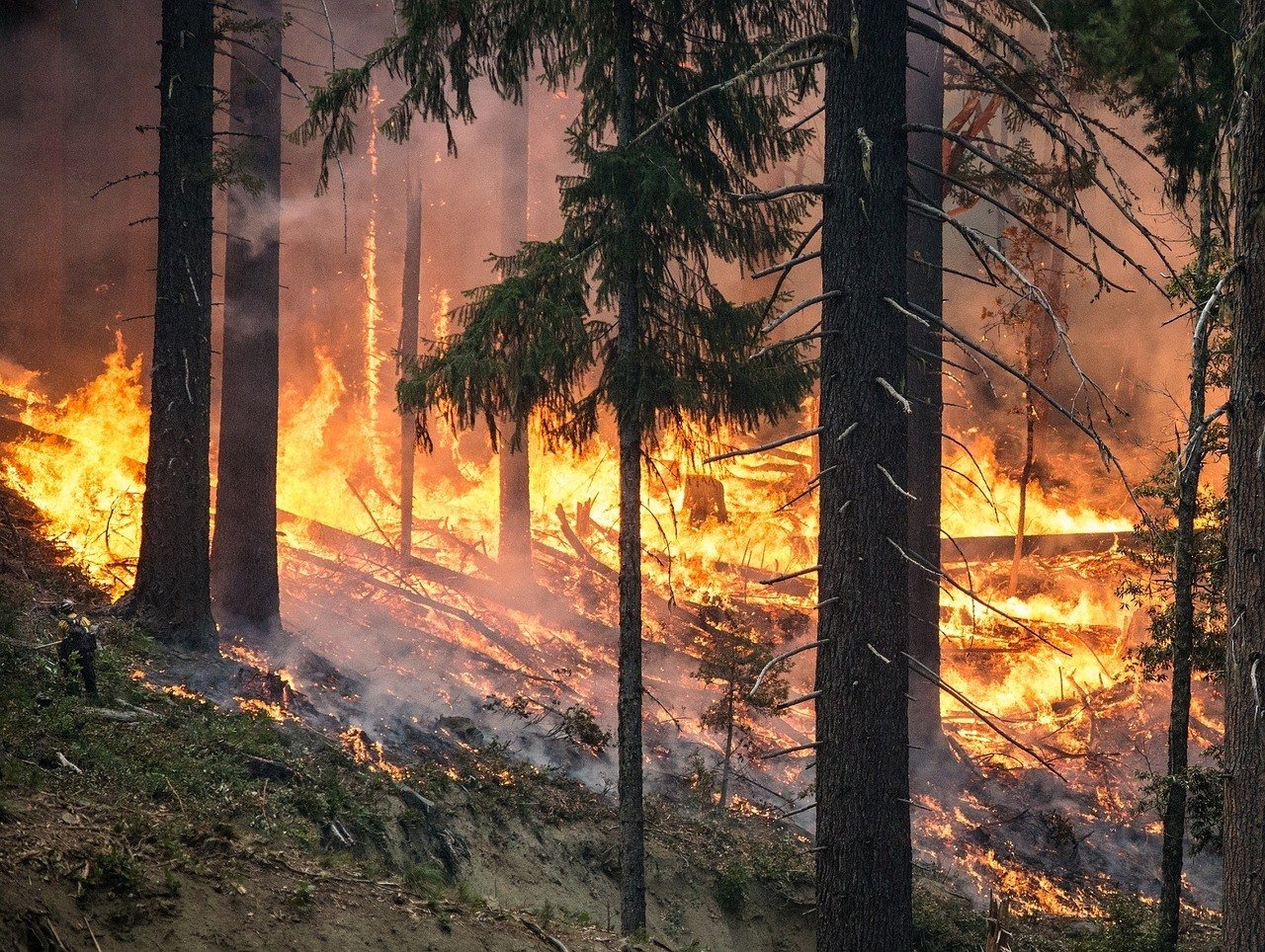forest fire in oregon