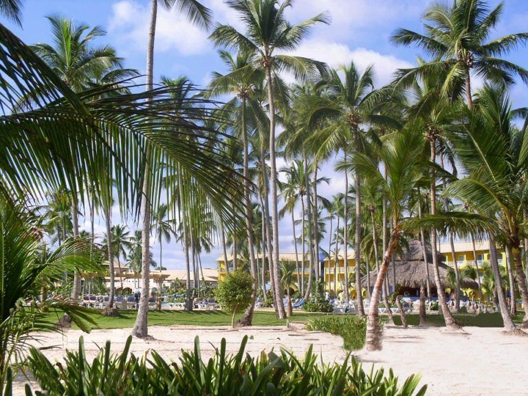 Is Dominican Republic SAFE to Visit? (2024 • Insider Tips)