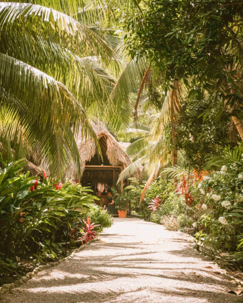 Rio Hostel Buritaca in Colombia