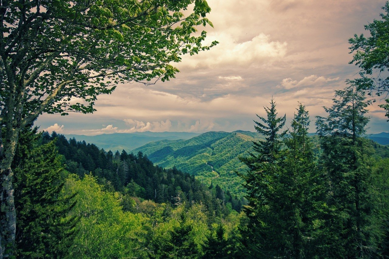 great smoky mountains north carolina