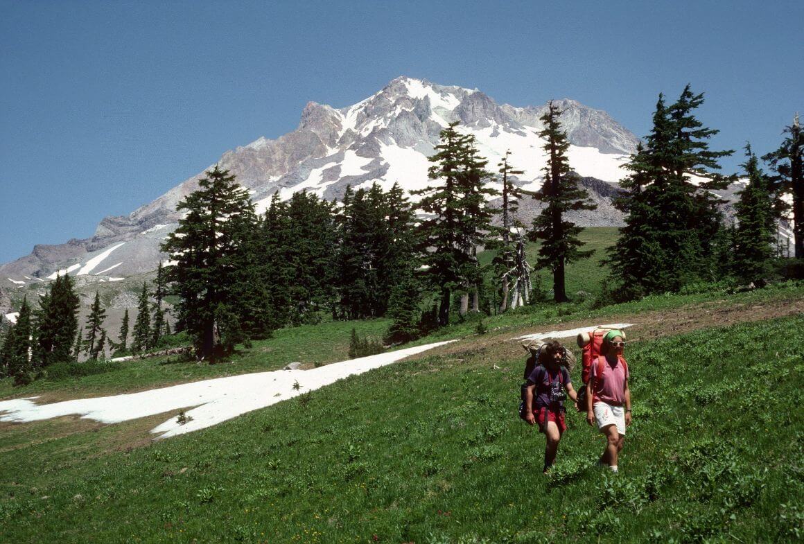 paradise park best hikes in oregon