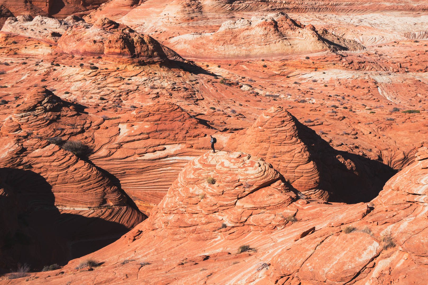 best hikes in Arizona public lands