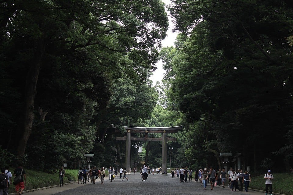 Yoyogi Park Tokyo