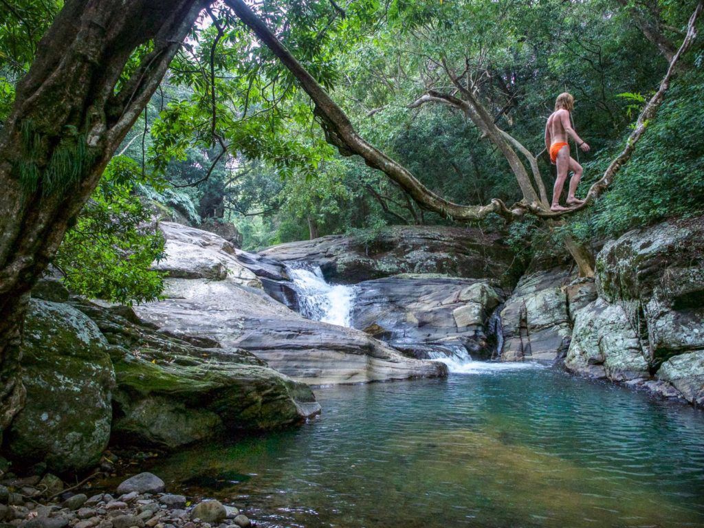 Journey of the Jacks: Ascenting Lakegala from Meemure, Sri Lanka