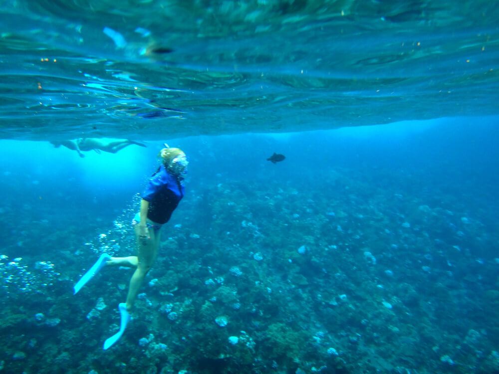 Snorkel to the Coral Gardens or the Molokini Crater