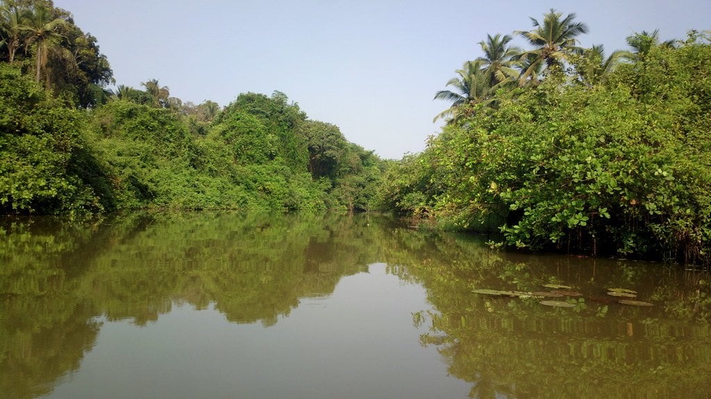 Goan Backwaters, Goa