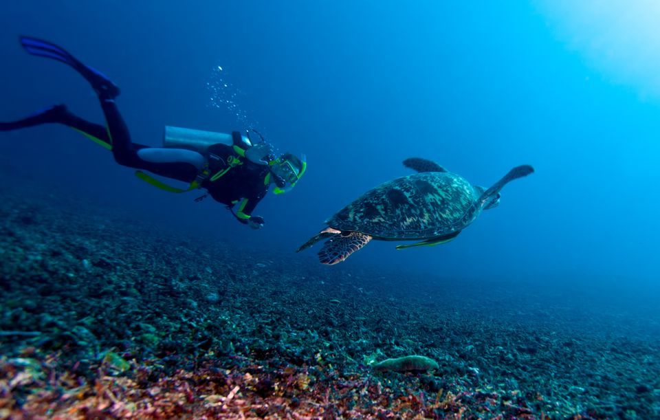 Scuba Diving in Sekotong The Macro Paradise