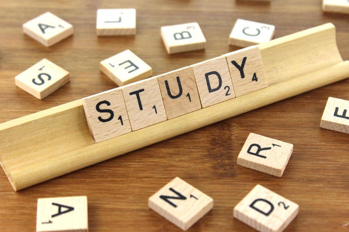 Hard study is ultimately the best way to learn a language