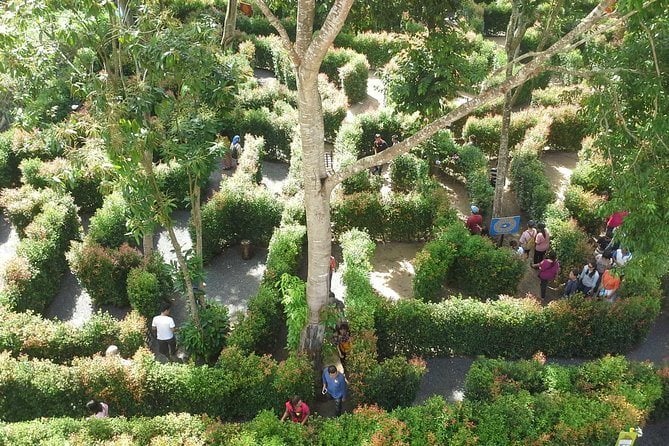 A-Maze Garden
