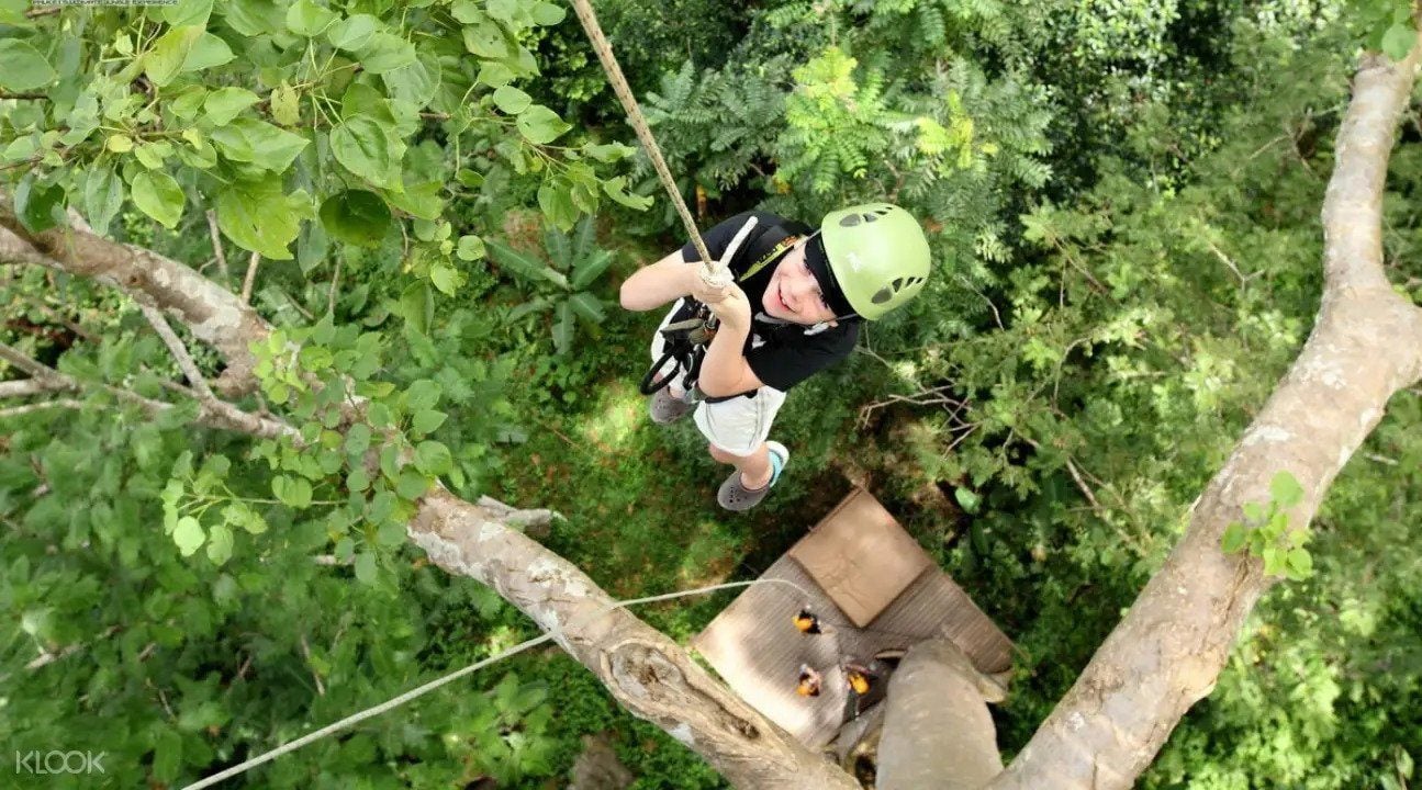 Zipline through the rainforest