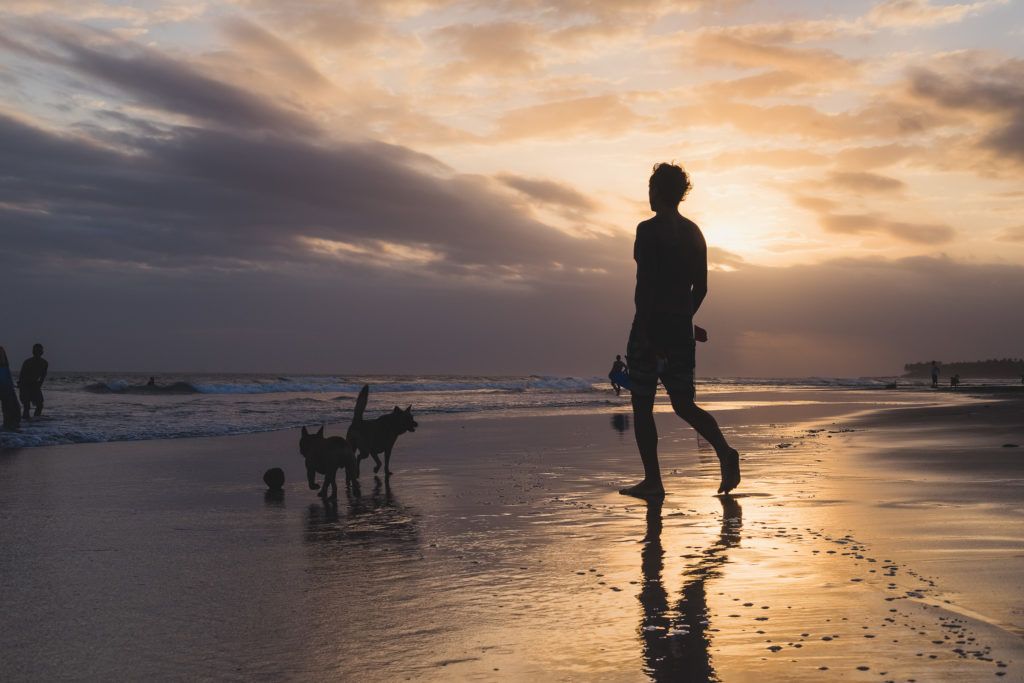 Silhouette of a man and two dogs walking on the beach at sunset, with reflections on the wet sand and a cloudy sky in the background