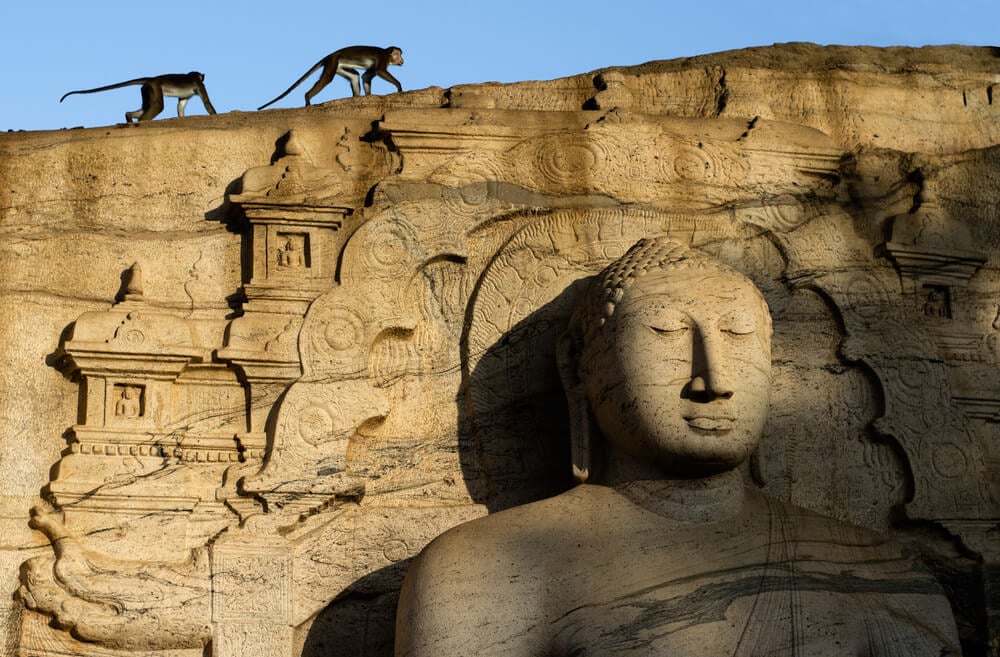 Polonnaruwa ruins and monkeys - a major historical site in Sri Lanka to visit