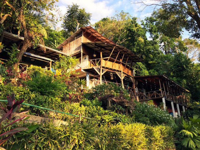 10 BEST Hostels in Manuel Antonio (2024 Insider Guide)