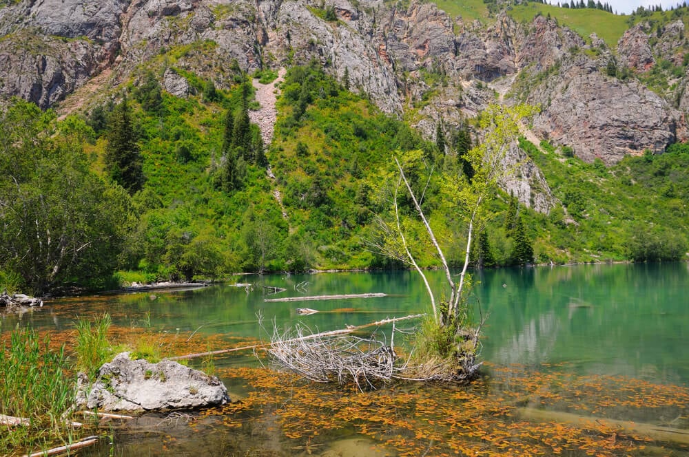 colors of sary chelek lake in kyrgyzstan