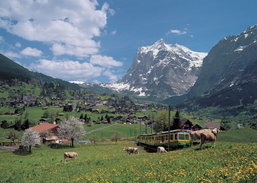 From Zurich: Day Trip to Grindelwald & Interlaken