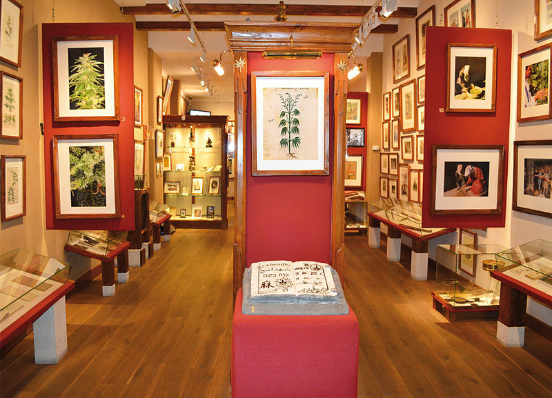 leer alles over het kruid in het Hash, Marijuana Hemp Museum