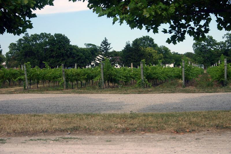 Pelee winery