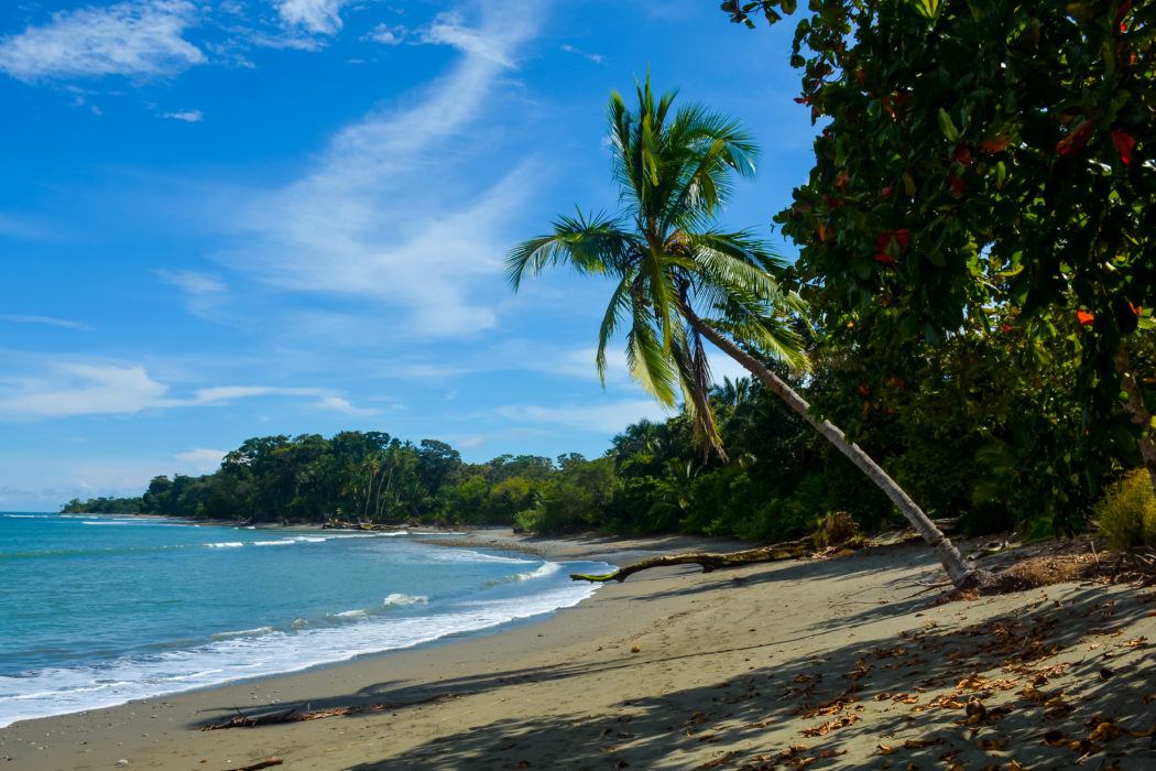 Blue Osa Review: The Best Yoga Retreat in Costa Rica