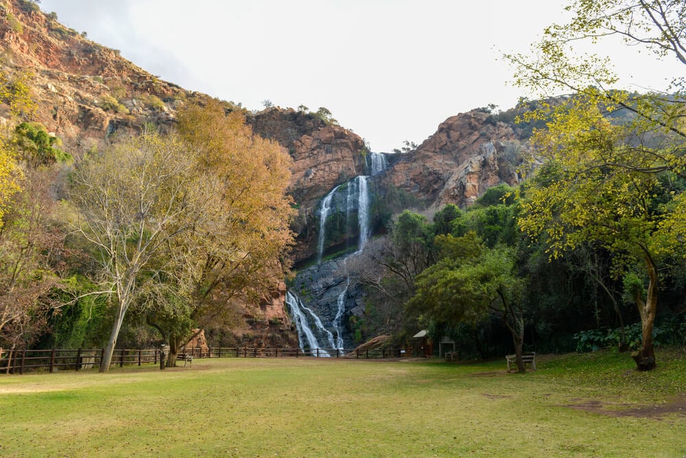 Walter Sisulu National Botanical Gardens