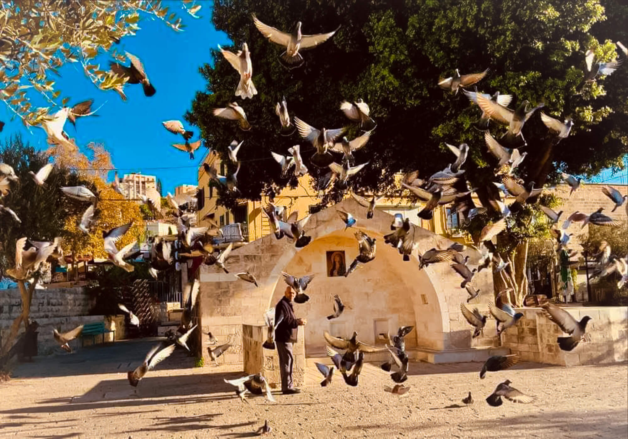 Mary's Well, Nazareth pigeons - One of my best places to visit in Israel