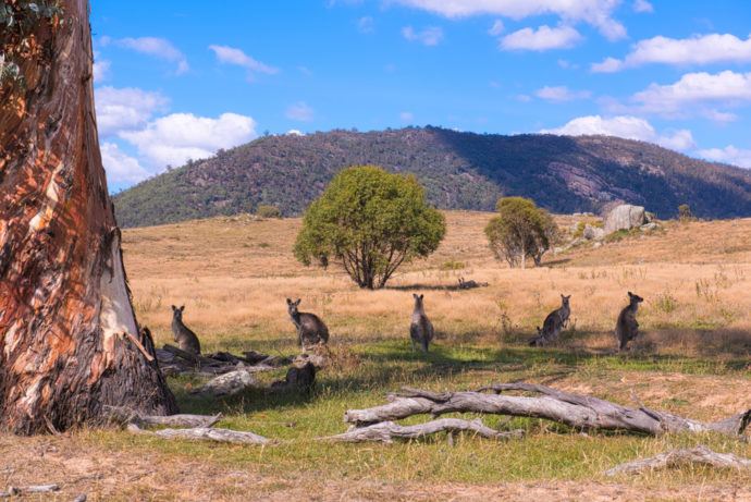 natural places to visit in canberra