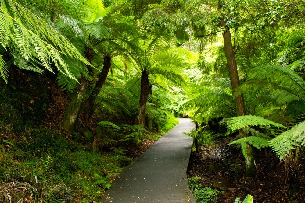 Australian National Botanical Gardens