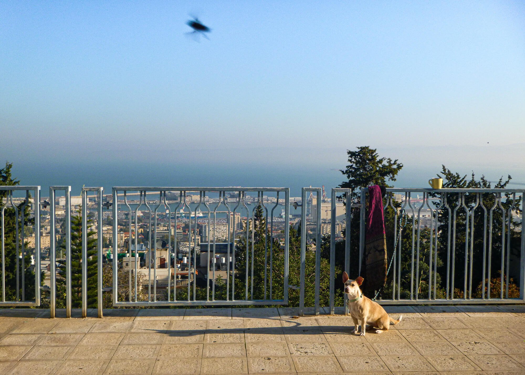 Over the Haifa port - one of my favourite destinations in Israel