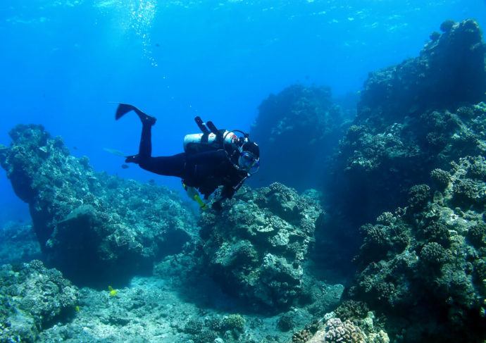 Diving in Mauritius Guide (BEST DIVE SITES + TIPS • 2024)