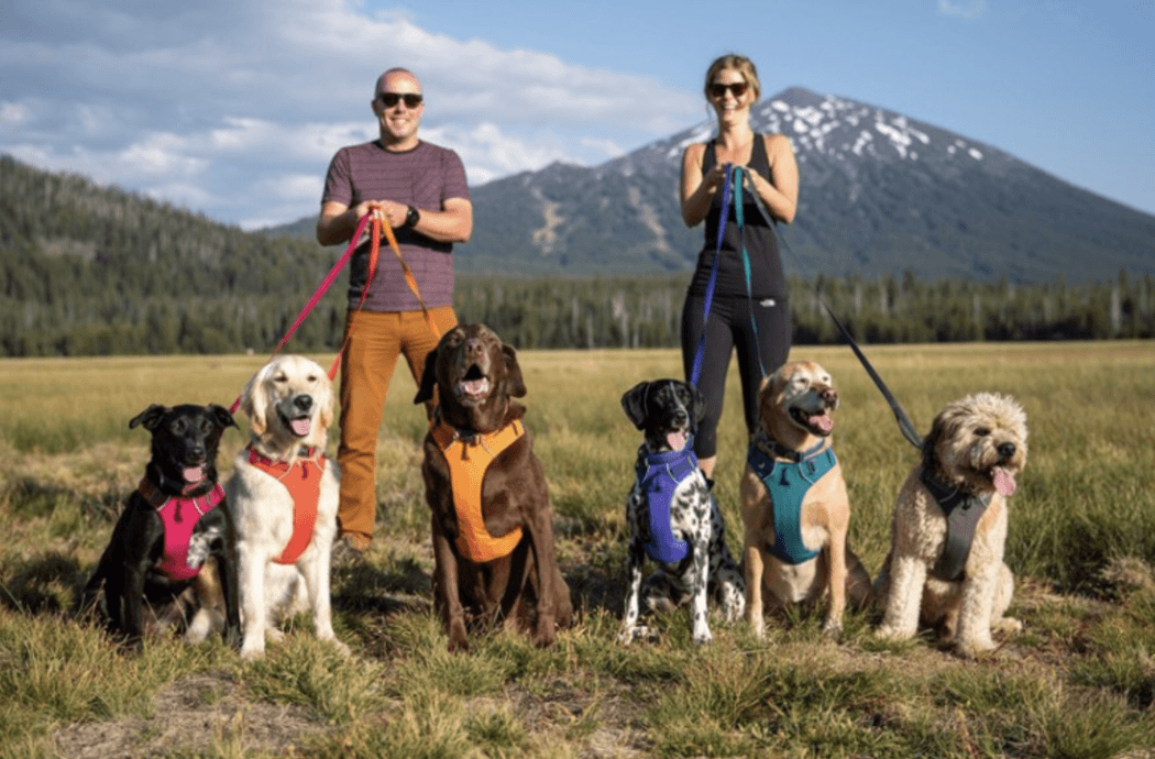 Best Dog Hiking Backpacks by Ruffwear EPIC Gear for Your Furry