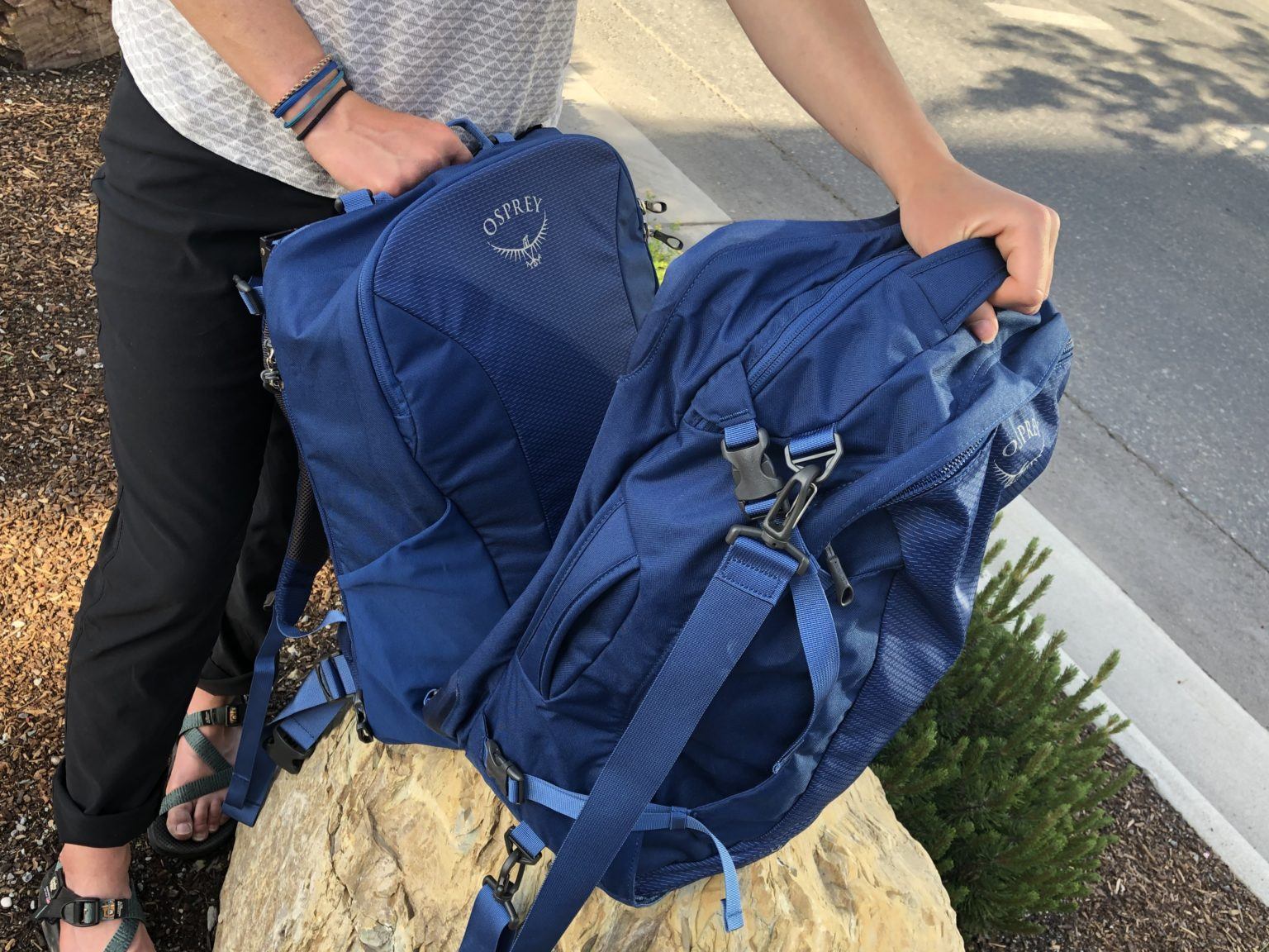 osprey ozone collection