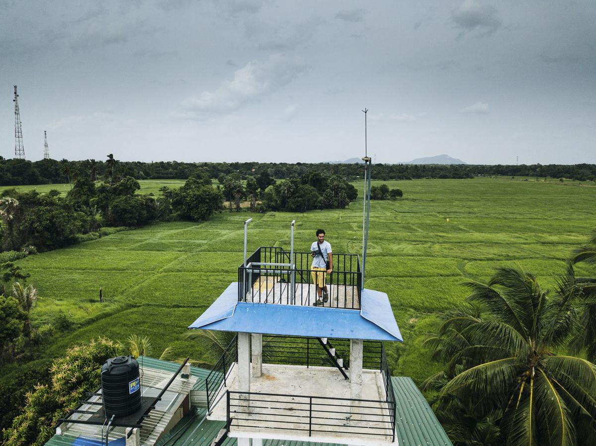Where to Stay in Anuradhapura: Heaven Upon Rice Fields