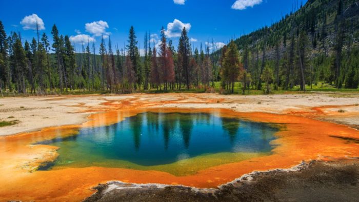 Shutterstock Yellowstone National Park West Grand Prismatic Spring 700x394 