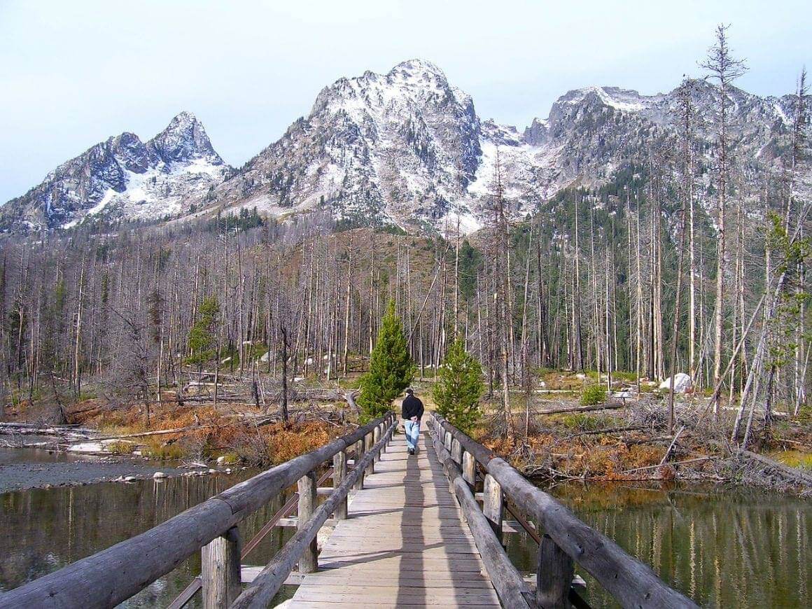 Grand Teton National Park Trail Safety