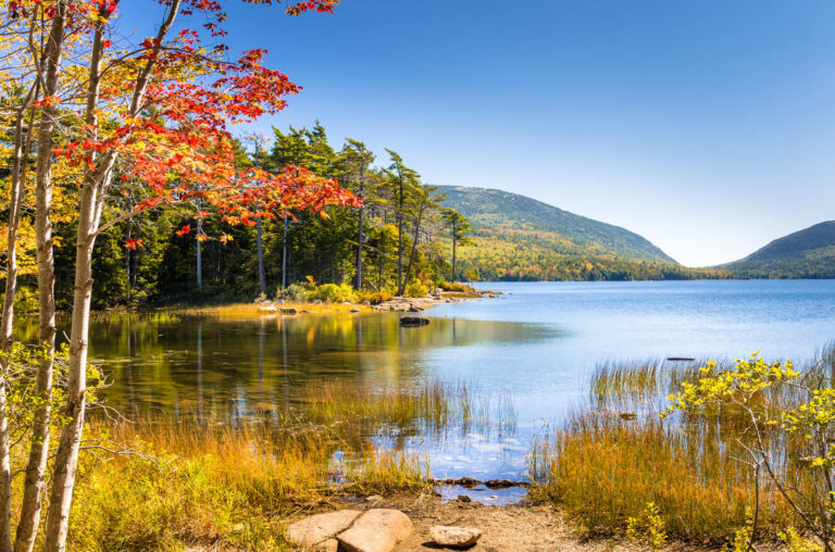 Where to Stay in Acadia National Park: The BEST Areas in 2024