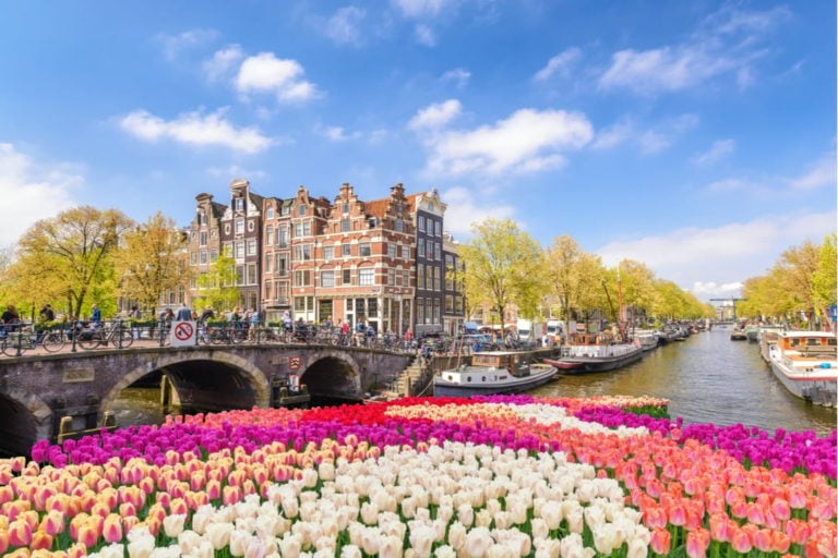 Best Time to Visit Amsterdam MUST READ • 2024 Guide The Broke