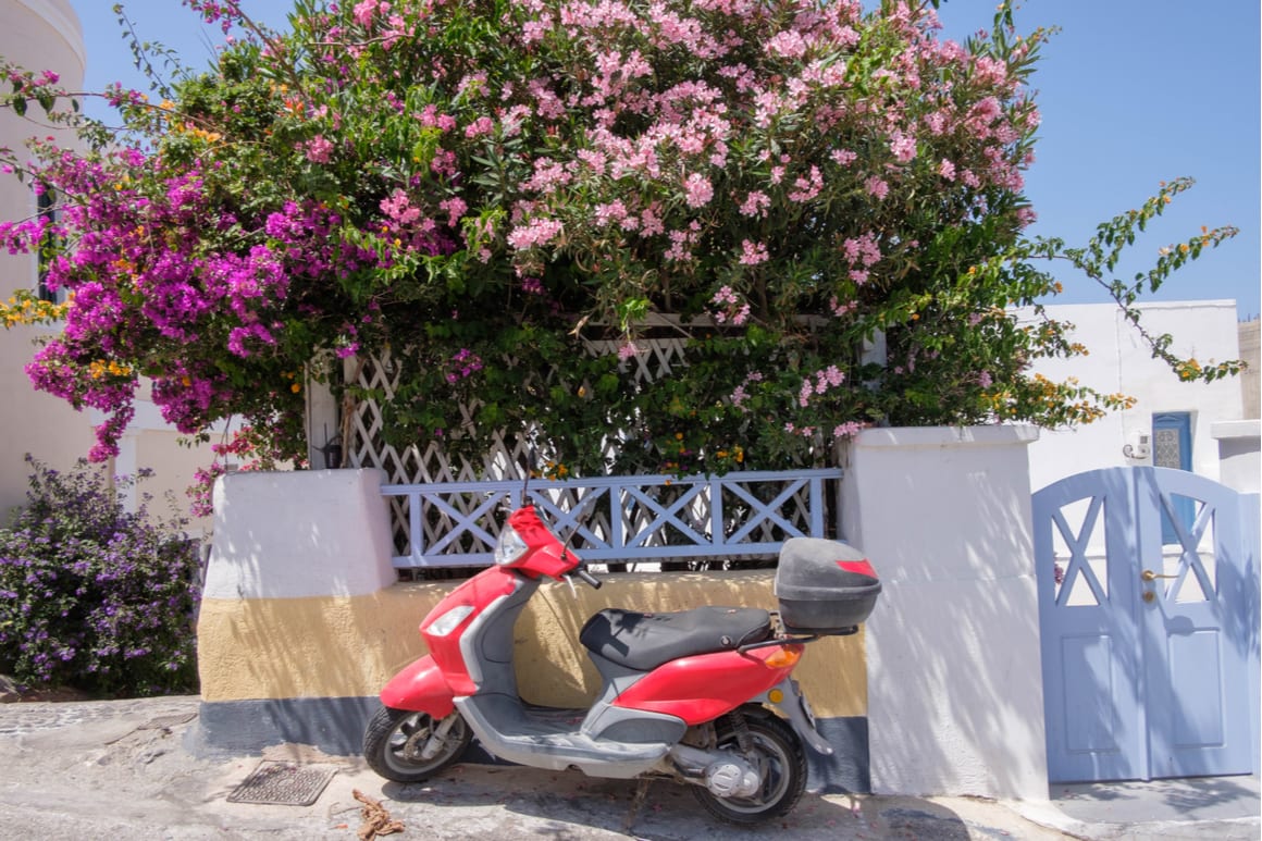 a bike parked under a flourished shrub in a Santorini street 