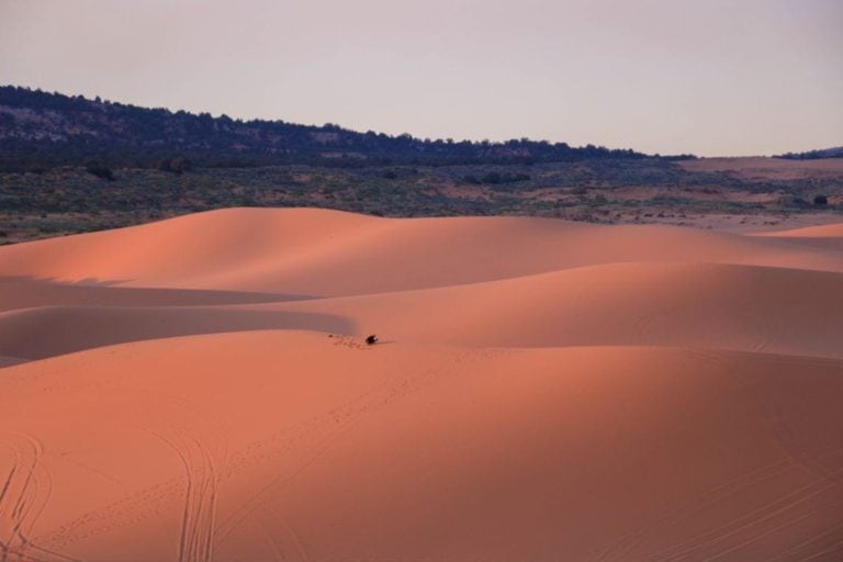 Where To Stay In Zion National Park The BEST Areas In 2024   Coral Pink Sand Dunes Utah Unsplash 768x512 