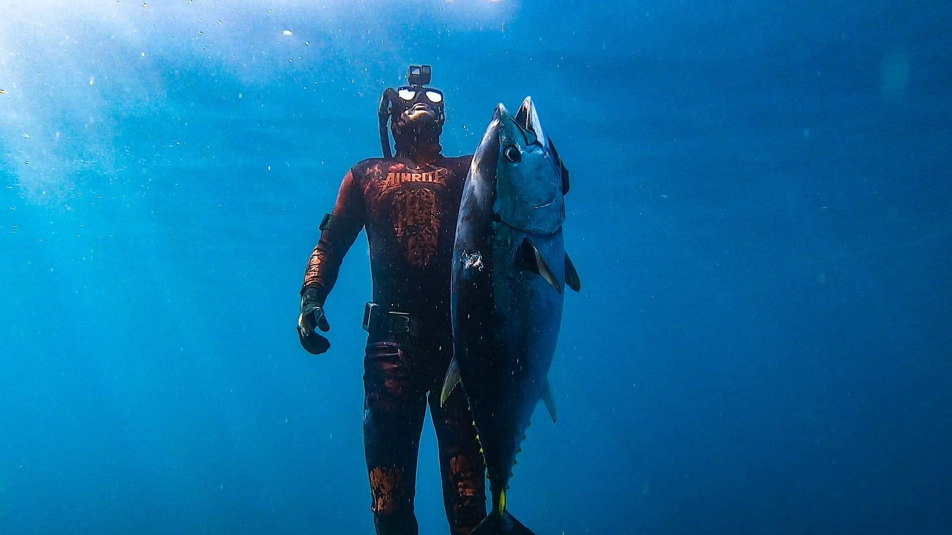 Spearfishing in New Zealand - The Fishing Website