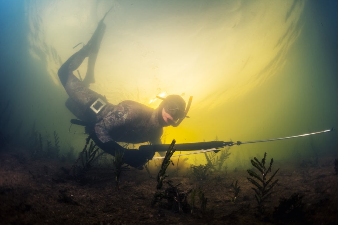 Helpful Equipment & Tools  Spearfishing 101 - FiDive to Be Free