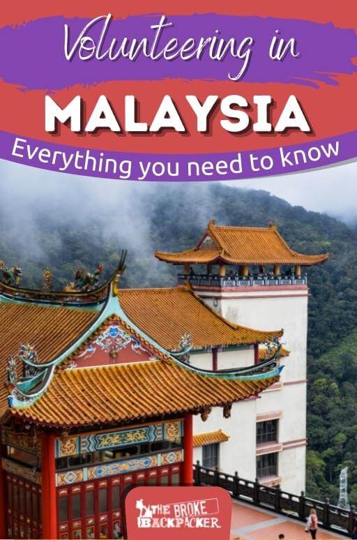 Biggest and BEST Guide to Volunteering in Malaysia (2024)