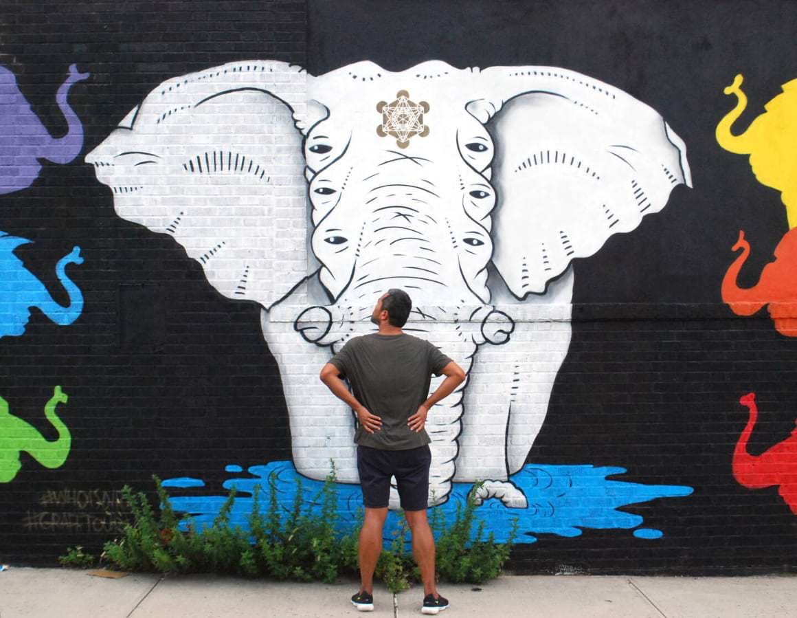 Street Art Walking Tour in Brooklyn